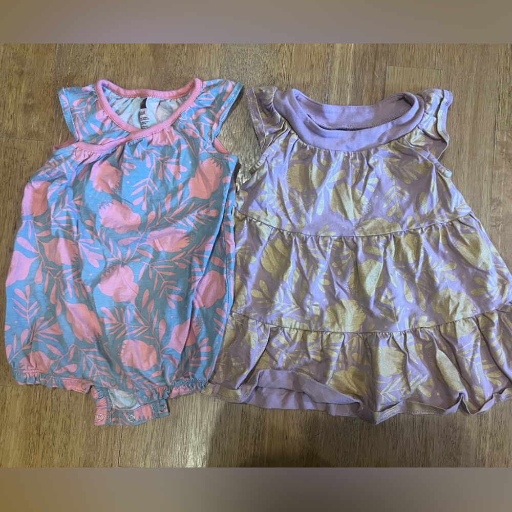 Tea Collection Dress and Romper